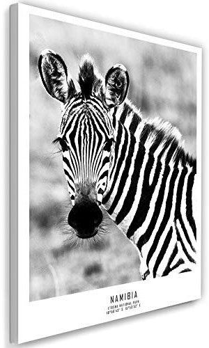 Feeby Leinwandbilder Zebra Bilder Kunstdruck Tier Afrika Streifen Schwarz 40x60 cm