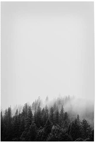 artboxONE Poster 30x20 cm Schwarz-weiß Natur Forest 2 hochwertiger Design Kunstdruck - Bild Wald Natur Nebel