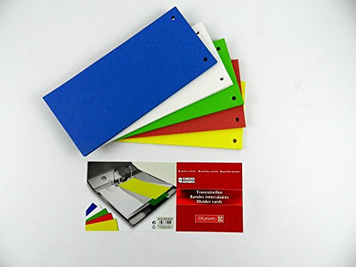 Brunnen 106604095 Trennstreifen (10,5 x 24 cm quer, aus Karton, gelocht, 100 Trennstreifen) bunt Sortiert