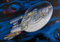 1art1 Star Trek Poster Unendliche Weiten, Das Nächste Jahrhundert TNG U.S.S. Enterprise NCC-1701-D Plakat | Bild 95x66 cm