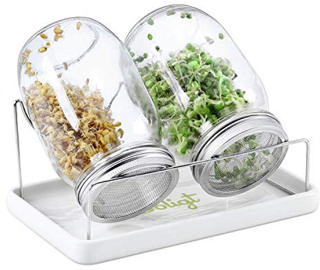 Komplettes Einmachglas-Set – 2 Sprossengläser mit breiter Öffnung und 316 Edelstahl-Sprossdeckel, Keramik-Tropfschale und Ständer