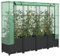 Iiaky 4015816 Letto Rialzato con Copertura Serra Effetto Rattan 160x40x138 cm Orto Urbano Letto da Giardino Copertura Protezione,Fioriera Rialzata,per Piante Fiori Ortaggi Terrazzo Interno Esterno