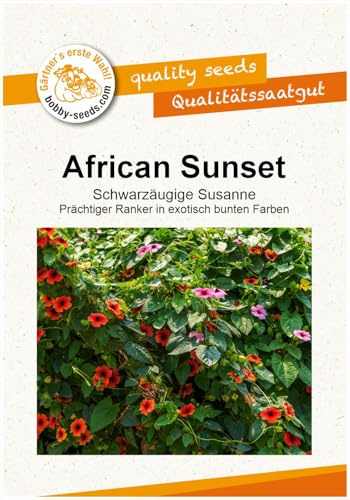 Blumensamen Schwarzäugige Susanne African Sunset Portion