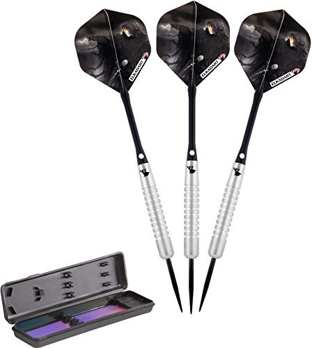 Elkadart Wizard 80% Tungsten Steel Tip Darts with Storage/Travel Case, 22 Grams