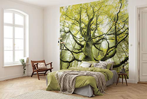 Komar Vlies Fototapete DER TRAUMBAUM | Tapete, XXL, Dekoration, Natur, Landschaft, Schlafzimmer, Wohnzimmer, Büro, Flur | Größe 300 x 280 cm (Breite x Höhe) | SHX6-020