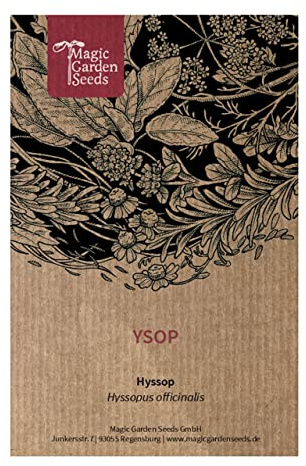 Ysop (Hyssopus officinalis) - ca. 200 Samen