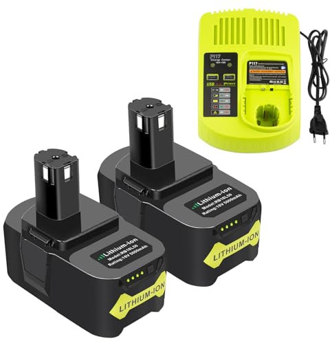 2 x Batteria per Ryobi con Caricabatterie, ASUNCELL 18V 5.0Ah P108 Batteria di Ioni di Litio per Ryobi ONE Plus 18V RB18L50 RB18L40 RB18L25 BPL-1815 BPL-1820G BPL18151 BPL1820 P104 P105 P107