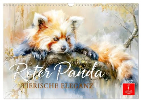 Roter Panda - Tierische Eleganz (Wandkalender 2027 DIN A3 quer), CALVENDO Monatskalender: Eine tierische Schönheit - vom Aussterben bedroht. (CALVENDO Tiere)