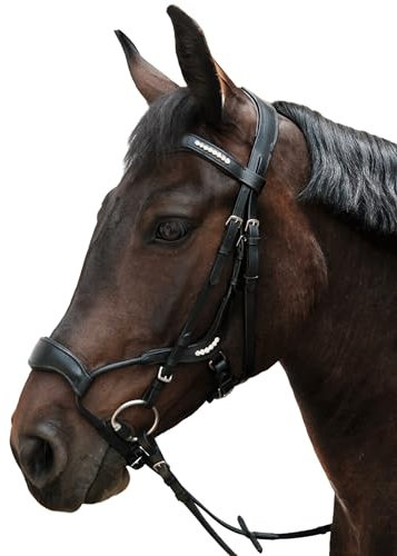 Brama West Ledertrense Flying Horse - anatomisch - für das sensibelste Pferd geeignet - schwarz - Gr. Cob
