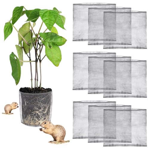 Yaocom Gopher- und Wühlmaus-Drahtkörbe, Edelstahl, Pflanzenwurzelschutz, Gopher-Käfige für Baum, Blumen, Gemüse, Garten, Untergrundschutz, 10 Stück