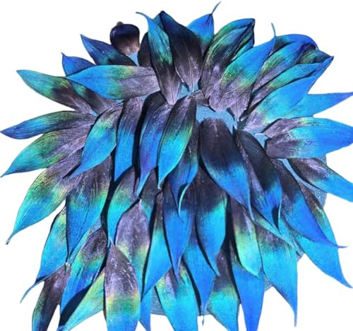 Rockreyoa Pfauenfedern Natürliche Pfau Federn DIY Deko Federn Schöne Dekofedern Naturfedern zum Basteln Natürliche Bastelfedern für Kostüm Ohrringe Kleid Hochzeits Dekoration Blau 20 Stück