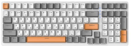 NonMiFyR Tastiera Meccanica Russa Tastiera Gaming 100 Tasti Ergonomica con Retroilluminazione RGB Materiale PP Resistente Adatta per Ufficio Giochi, Stile e
