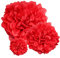 Premium [Pack of 10] Large Tissue Paper Pom Poms (Red 10)