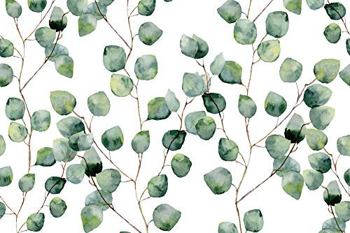 Cuadros Lifestyle Küchen Spritzschutz 'Aquarell Blätter' 80x50 cm | Küchenrückwand | Alu-DiBond | Fliesenschutz für den Herd und Spüle | Küchenfliesen | Fliesenspiegel