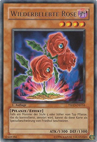 TSHD-DE016 Wiederbelebte Rose