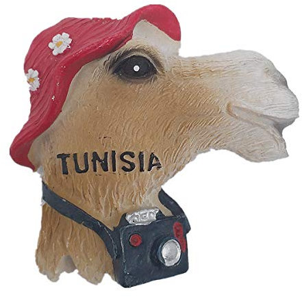 Tunesien Afrika 3D-Kühlschrankmagnet Touristensouvenir Geschenk & Sammlung Heim & Küche Dekoration Magnetaufkleber Tunesien Kühlschrankmagnet Kollektion