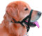 Nobby Easy Leader Hundegeschirr für Hunde