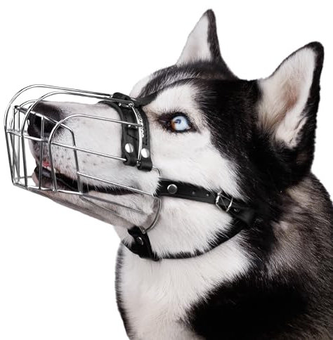 BRONZEDOG Hundemaulkorb Verstellbar Robustes PVC/Metalldrahtkorb für Große und Sehr Große Hunde mit Lederbändern Atmungsaktiv, Trinkfähig, Training, Verhindert Beißen (Husky & Doberman, Edelstahl)