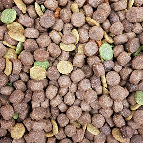 Supravit Basis Mix Trockenfutter Hund 15kg I Hundefutter trocken für Hunde Aller Rassen Junghunde & Adult I enthält wichtige Proteine, Fette, Mineralien & Vitamine