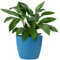 KONZEPT Blumentopf groß, blau, gerillte Struktur 26cm, Übertöpfe für Zimmerpflanzen aus Kunststoff ideal für Wohnzimmer, Küche und Balkon