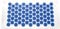 AFH Histamat® Nadelreizmatte | Das Original | ca. 44 x 22 cm | Nadelreizmatte | Akupressurmatte (blau)