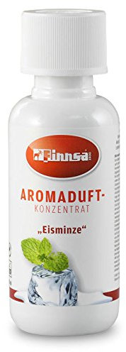 Finnsa Aroma-Duftkonzentrat 100 ml, Eisminze