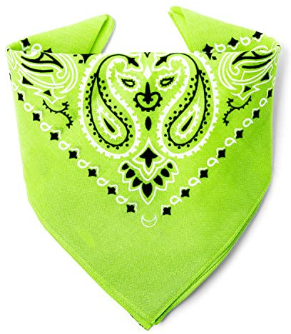 Karl Loven - Apfelgrün Bandana - Paisleymuster - 100% Baumwolle - Dicker Stoff - 20 Exklusivfarben