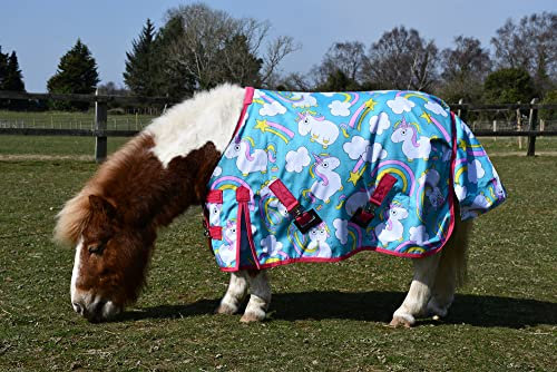 Rhinegold Einhorn Torrent Outdoor Teppich – 4/0