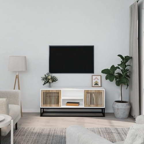ShGaxin Meuble TV en fer et contreplaqué blanc 105 x 30 x 45 cm, meuble TV, meuble TV, meuble TV, meuble TV 352097