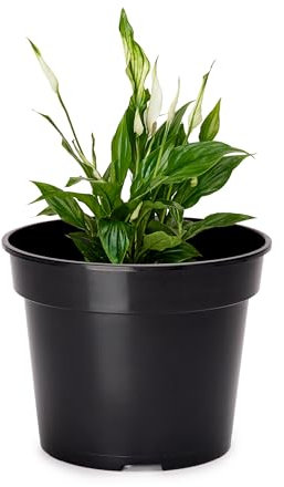 Garronda Blumentopf Kunststoff Pflanztopf rund Kräutertopf Anzuchttöpfe Blumentopf Schwarz für Innen und Aussen 10cm GD-0025 (1 Stück - Schwarz, ⌀ 10cm H=cm)