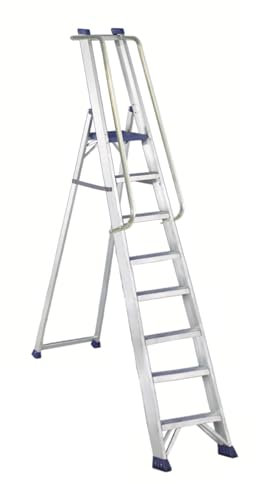 Svelt Scala Alluminio Ultra Resistente con Corrimano e Guardacorpo, 8 gradini