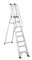 Svelt Scala Alluminio Ultra Resistente con Corrimano e Guardacorpo, 8 gradini