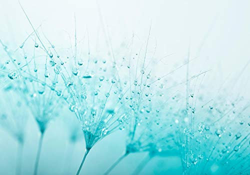 wandmotiv24 Photo murale Pissenlit Turquoise S 200 x 140cm - 4 pièces photo, papier peint non tissé Fleur, bleu, goutte d'eau M0347