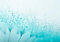 wandmotiv24 Photo murale Pissenlit Turquoise S 200 x 140cm - 4 pièces photo, papier peint non tissé Fleur, bleu, goutte d'eau M0347