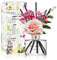 Cocod'or COCODOR Rose Diffusor/Rosenparfüm/200ml/konservierten Das Schleierkraut, Raumduft, Duftöldiffusoren, Duftstäbchen, Wohnaccessoires & Deko, Aromatherapie
