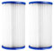 YanBan Filtros de Repuesto Tipo A/C compatibles con Best-Way 58012 Cartucho de Filtro, Paquete de 2 filtros de Bomba de Piscina para Best-Way Tipo Ⅲ Cartuchos de Filtro