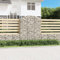 HOMTAKIE Panier de gabions arqué 150x50x180/200 cm Fer galvanisé