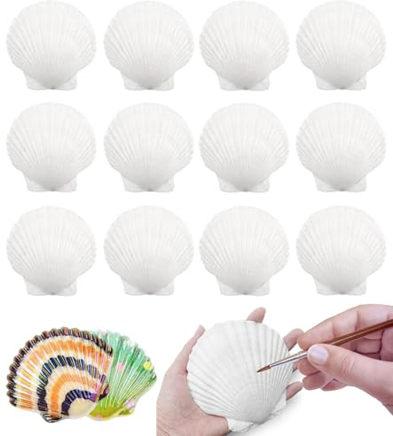 YRUHAN Coquilles Saint Jacques, Coquille Saint Jacques, Coquillages Blancs, Fait à la Main Créatif, Matériau Naturel, Peinture DIY, Convient pour L'artisanat, la Décoration de Mariage (10-11CM)