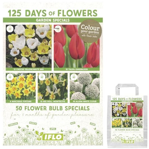 Blumenzwiebeln in Geschenkverpackung - Zwiebeln, Knollen verschiedener winterharter Pflanzen für Garten und Balkon - bunt, mehrjährig, für Topf und Beet (Garden Specials 50St.)