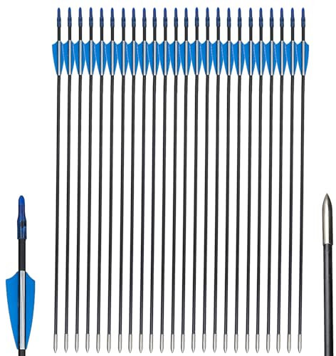 Toparchery 24er Fiberglaspfeil für Bogenschießen 31Zoll Fiberglaspfeile Jagdpfeile Bogen Pfeile für Recurvebogen Sportbogen Spine 800 (blau)
