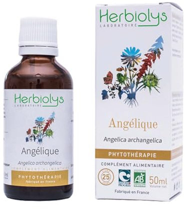 HERBIOLYS - Teinture mère de Angélique Bio - 50 ml