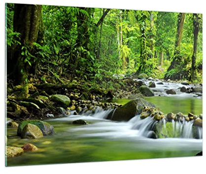 ARTTOR Glasbild 100x70cm Wandbild Glasdruck Landschaften Wald - 0174 | Strom Natur Groß Modern Dekoration Wohnzimmer Schlafzimmer Küche Wanddeko Kunstdruck Art Wall Decor ARTTOR