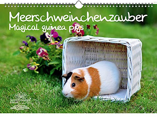Meerschweinchenzauber DIN A3 Kalender - Immerwährender Kalender Meerschweinchen - Seelenzauber