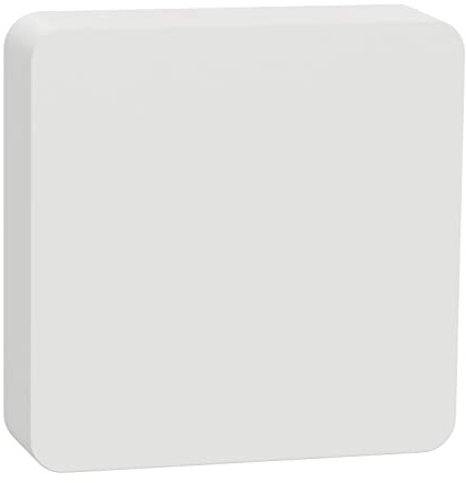 Schneider Electric Wiser Temperatur-/ Luftfeuchtigkeitssensor, CCT593012 | Steuerung per App oder manuell, Zigbee, über Hub kompatibel mit Matter, Alexa, Google, Apple