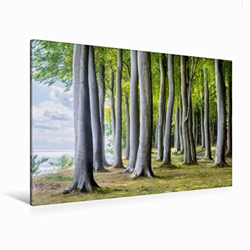 Premium Textil-Leinwand 120 x 80 cm Quer-Format Wald von Fanefjord | Wandbild, HD-Bild auf Keilrahmen, Fertigbild auf hochwertigem Vlies, Leinwanddruck von Kirsten und Holger Karius