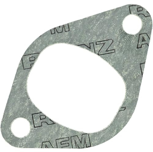 REINZ 71-24887-10 Dichtung, Ansaugkrümmer