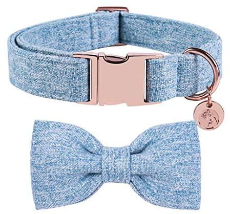 DOGWONG Hundehalsband mit Abnehmbarer Fliege, Blau Haustierhalsband Hundefliege Geschenk für Mädchen oder Jungen Hunde, Bequeme verstellbares Hundehalsband für kleine mittelgroße Hunde