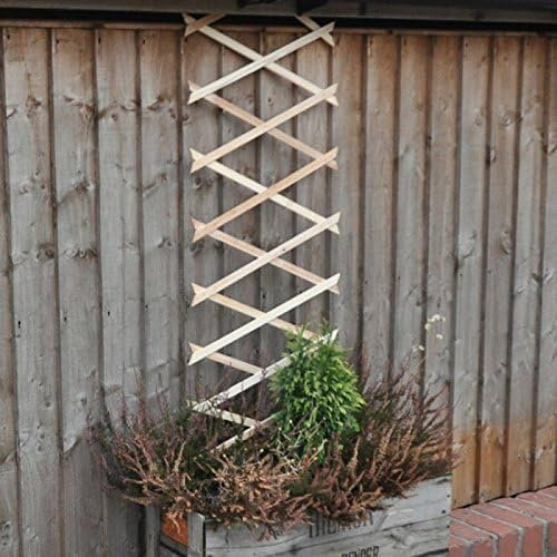 Garden Mile 1pc Wooden Garden Trellis For Climbing Plants 180cm X 45cm Expanding Trellis Durable Pine Wood Climbing Plant Support Perfect For Plants And Vegetables