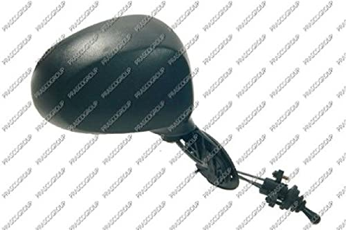 PRASCO Außenspiegel DW3257003