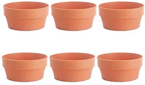 Operitacx Pot de Fleurs Peu Profondes 6Pcs Pots D' Argile pour Plantes Grandes Plants en Terre Cuite 12. Pots de Fleurs de Cactus 5Cm Succulent pour Bassin de Fleurs Bricolage